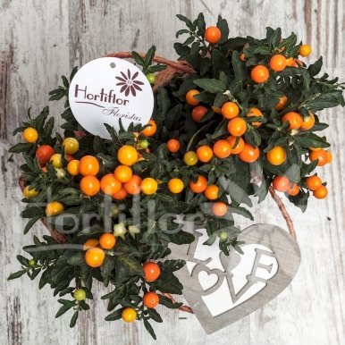 cesta naranjos hortiflor floristas 2