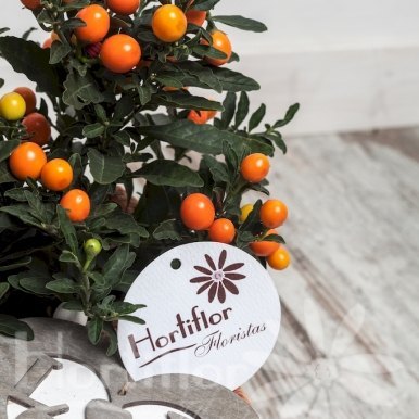 cesta naranjos hortiflor floristas 3