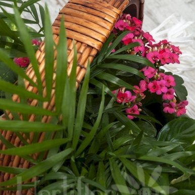 cesta plantas variadas hortiflor floristas 2